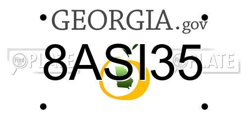 8ASI35 Georgia License Plate