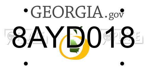 8AYD018 Georgia License Plate