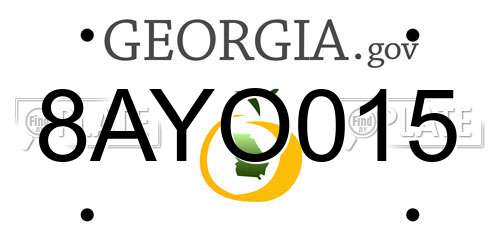 8AYO015 Georgia License Plate
