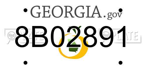 8B02891 Georgia License Plate