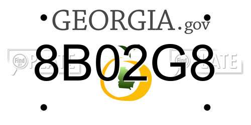 8B02G8 Georgia License Plate