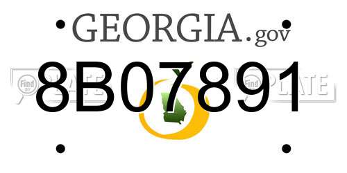 8B07891 Georgia License Plate
