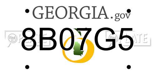 8B07G5 Georgia License Plate