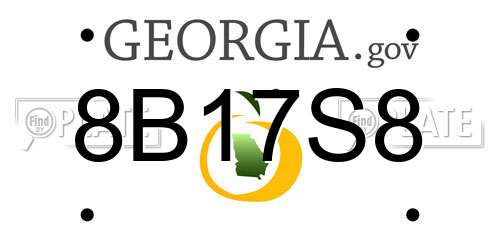 8B17S8 Georgia License Plate