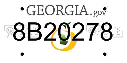 8B20278 Georgia License Plate