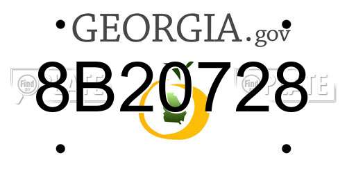 8B20728 Georgia License Plate