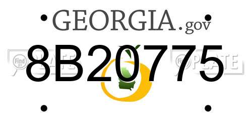 8B20775 Georgia License Plate