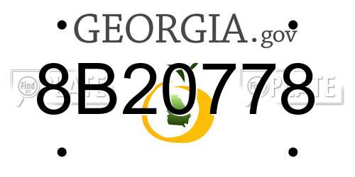 8B20778 Georgia License Plate
