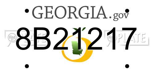 8B21217 Georgia License Plate