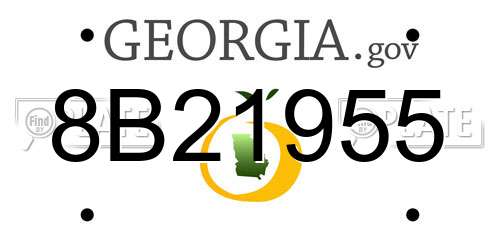 8B21955 Georgia License Plate