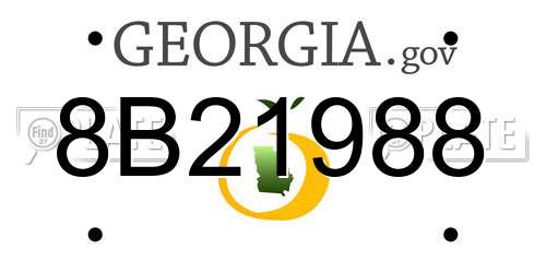 8B21988 Georgia License Plate