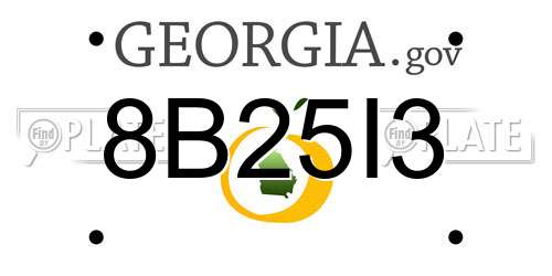 8B25I3 Georgia License Plate