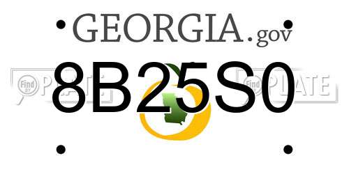8B25S0 Georgia License Plate