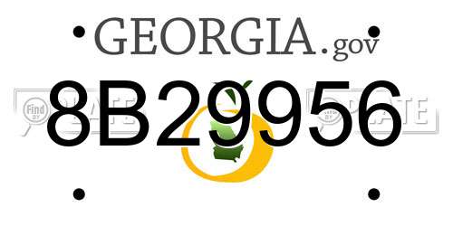 8B29956 Georgia License Plate