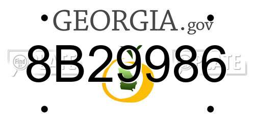 8B29986 Georgia License Plate