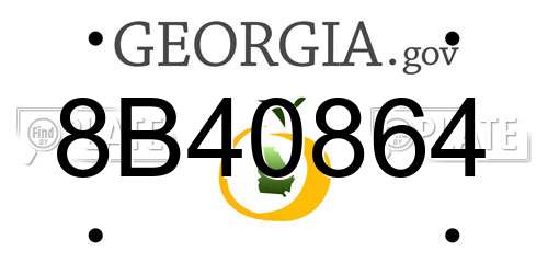 8B40864 Georgia License Plate