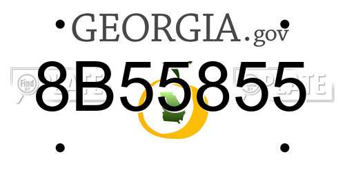 8B55855 Georgia License Plate