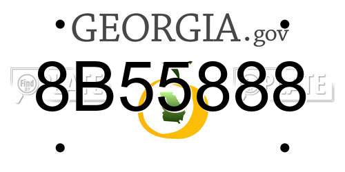 8B55888 Georgia License Plate