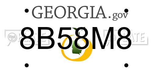 8B58M8 Georgia License Plate