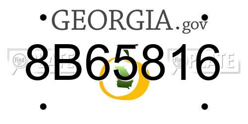 8B65816 Georgia License Plate