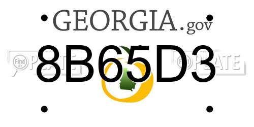 8B65D3 Georgia License Plate