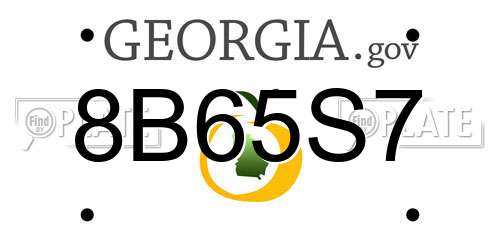 8B65S7 Georgia License Plate