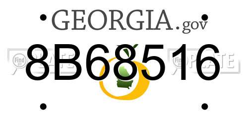 8B68516 Georgia License Plate