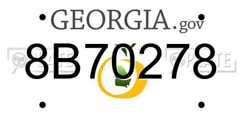 8B70278 Georgia License Plate