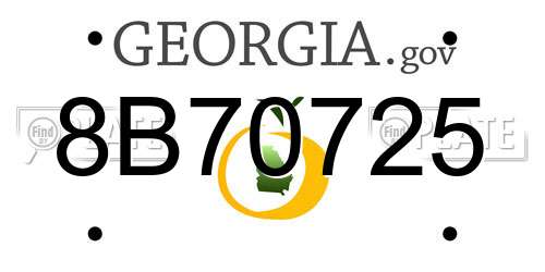 8B70725 Georgia License Plate