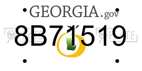 8B71519 Georgia License Plate