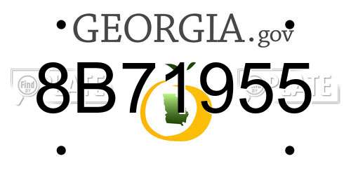 8B71955 Georgia License Plate