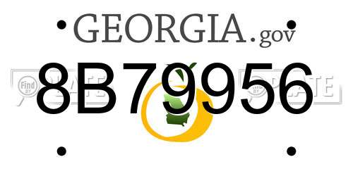 8B79956 Georgia License Plate