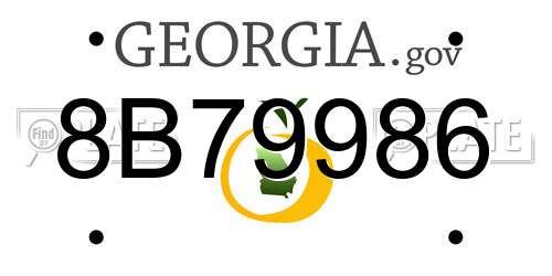 8B79986 Georgia License Plate