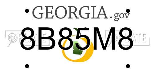 8B85M8 Georgia License Plate