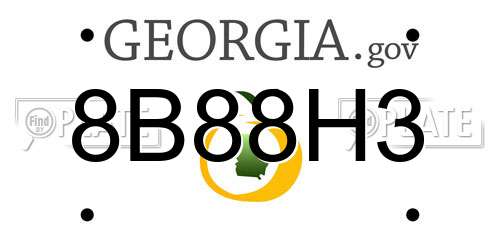 8B88H3 Georgia License Plate