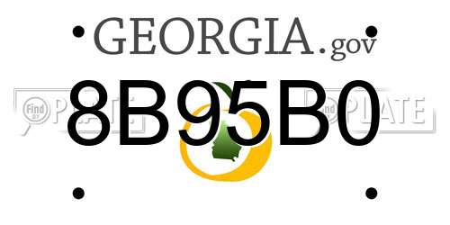 8B95B0 Georgia License Plate