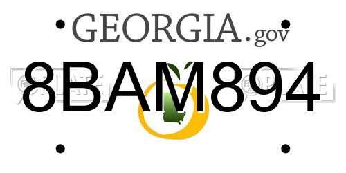 8BAM894 Georgia License Plate