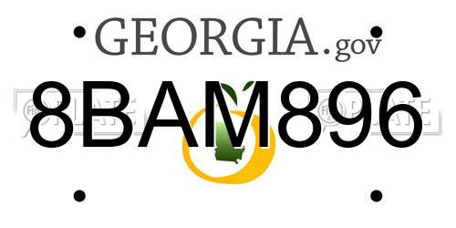 8BAM896 Georgia License Plate