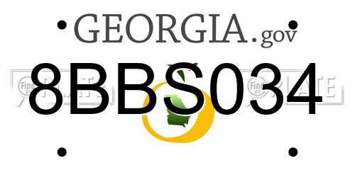 8BBS034 Georgia License Plate