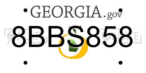 8BBS858 Georgia License Plate