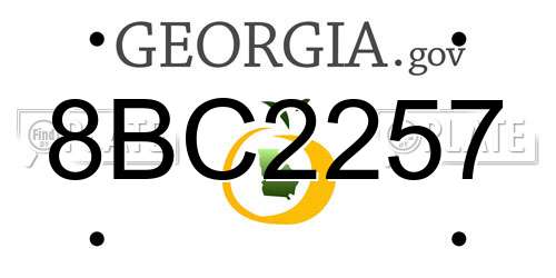 8BC2257 Georgia License Plate