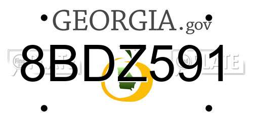 8BDZ591 Georgia License Plate