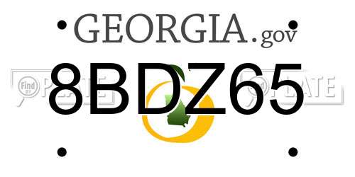 8BDZ65 Georgia License Plate