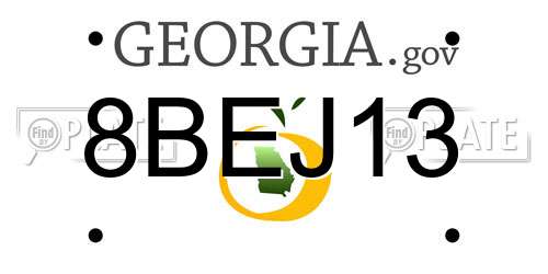 8BEJ13 Georgia License Plate