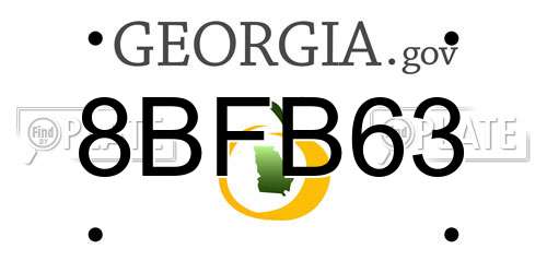 8BFB63 Georgia License Plate