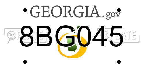8BG045 Georgia License Plate