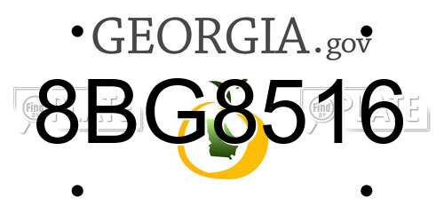 8BG8516 Georgia License Plate