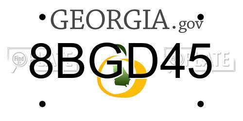 8BGD45 Georgia License Plate