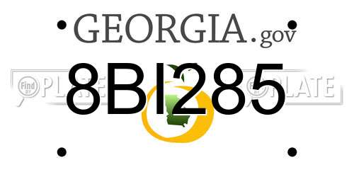 8BI285 Georgia License Plate