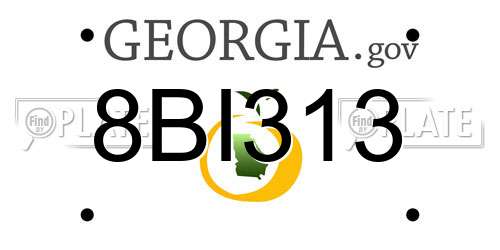 8BI313 Georgia License Plate